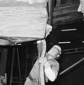 Personal o arbete på ysb i plastverkst.