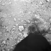 Pressvisning av Bro 6 200m Eksjö