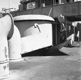 Dristigheten skjutskador