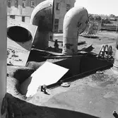 Dristigheten skjutskador