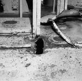 Dristigheten skjutskador