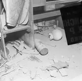 Dristigheten skjutskador