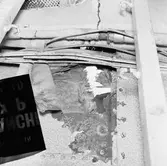 Dristigheten skjutskador