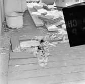 Dristigheten skjutskador