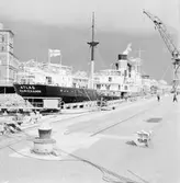 M/s Atlas i oscarsdockan