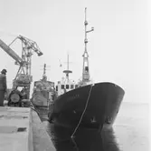 Vid kaj i svajningsrummet