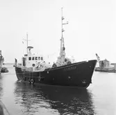 Vid kaj i svajningsrummet