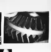 Älvsnabben (repro av foto kugghjul hjälpdisel)