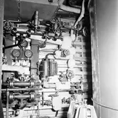 Jag, Södermanland (layton panna)