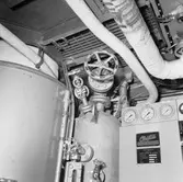 Jag, Södermanland (layton panna)