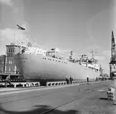 M/s California i oscarsdockan