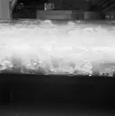 Träminspepare propelleraxel i mask.verkst