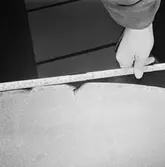 Göta Lejon propellerskada