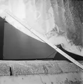 Göta Lejon propellerskada