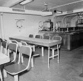 Göta lejon kafeteria int.