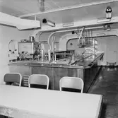 Göta lejon kafeteria int.