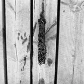 Korr.prov stål kopparok