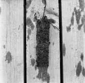 Korr.prov stål kopparok