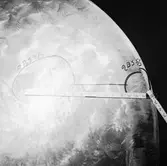 Ubåtarna Vargen och Delefinen korr i propellrarna