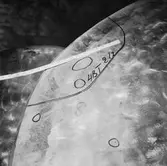 Ubåtarna Vargen och Delefinen korr i propellrarna