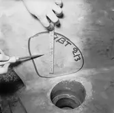 Ubåtarna Vargen och Delefinen korr i propellrarna