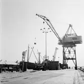 Sunnahav (Lidköping) vid kaj