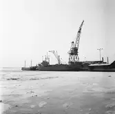 Sunnanhav (Lidköping) vid kaj