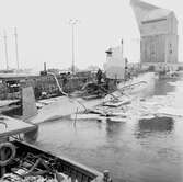 Ubåtarna i dockorna och svajningsrum