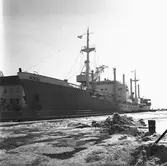 M/s Arica Helsingfors i oscarsdockan