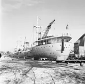 M/s Arica Helsingfors i oscarsdockan