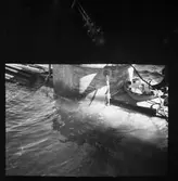 Sprängprov repro av färgdia minsekt.