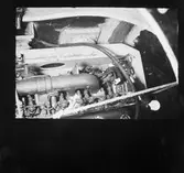 Sprängprov repro av färgdia minsekt.