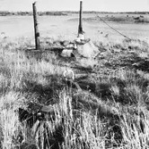 Telesekt. radiostationen Notholmen ext o int repro från färgkop.