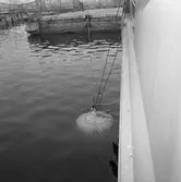 Belos dykarklocka ext o int, däck