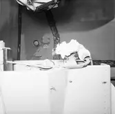 Göta Lejon kikarsikte