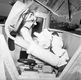 Göta Lejon kikarsikte