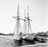 Gladan o Falken vid mob.kajen