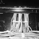 Jag. Gästrikland elekt. appr i bryggan