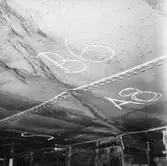 M/s Carllen tysk båt i docka 5 haveri bottenskador