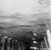 M/s Carllen tysk båt i docka 5 haveri bottenskador