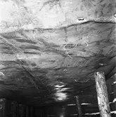 M/s Carllen tysk båt i docka 5 haveri bottenskador