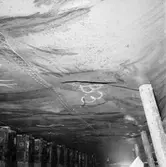 M/s Carllen tysk båt i docka 5 haveri bottenskador