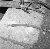 El kablar på mob. kajen