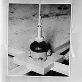 MTB-lag repro av kop.