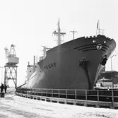 M/s Peony London i oscarsdockan