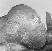 Ubåten Gripen propellerskada