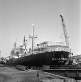 M/s Salambria i oscarsdockan