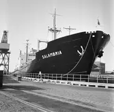 M/s Salambria i oscarsdockan