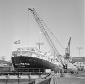 M/s Salambria i oscarsdockan