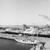 Civil båt i oscarsdockan samt Gladan o Falken vid kajen